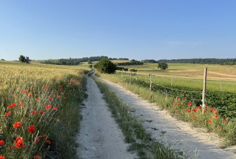 Atrakcje na miejscu i w okolicy