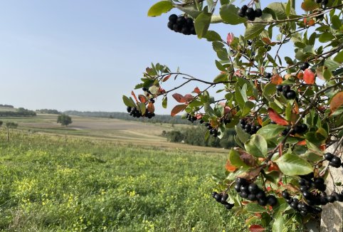 Atrakcje na miejscu i w okolicy