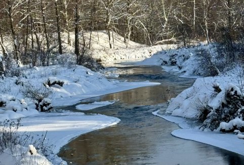Informacje o rzece Tanew
