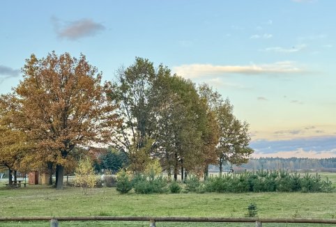 Informacje o Przystani Zagać